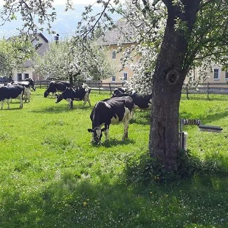 Feriehus Strohschneider Hermagor-Pressegger See